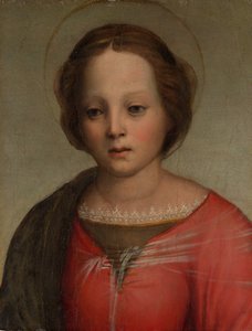 Hoofd van de Madonna