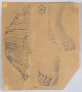 Studies van voeten en een gegroefde schelp door Francis Augustus Lathrop