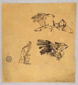Studies van Vleugels door Francis Augustus Lathrop