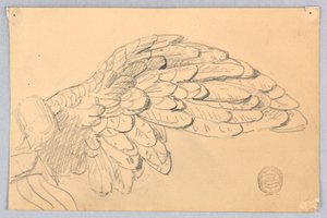 Studie van een vleugel door Francis Augustus Lathrop