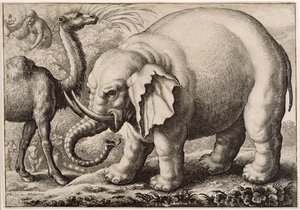 Een olifant en een kameel, gegraveerd door Wenceslaus Hollar (1607-77) 1663 door Francis Barlow