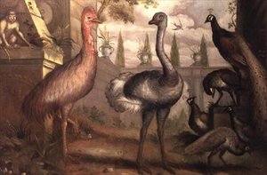 Collectie van Vogels door Francis Barlow
