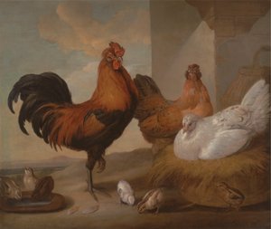 Huiselijke Haan, Hennen en Kuikens door Francis Barlow