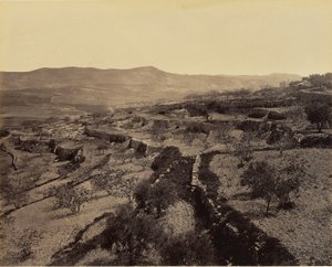 Bethlehem - Het herdersveld