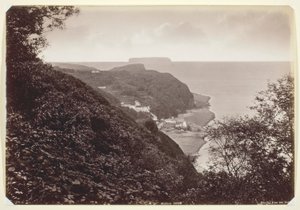 Clovelly vanaf de Hobby door Francis Bedford