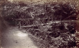 Colwyn Bay. Rustieke Brug in het Bos