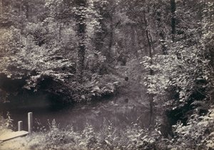 Colwyn Bay. Het zwembad in het bos, 1870s door Francis Bedford