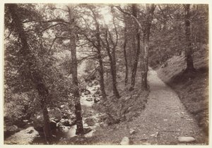 Dolgelley, Zicht in Torrent Walk door Francis Bedford