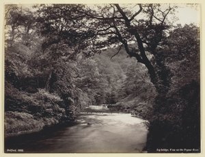 Ivy Bridge, Uitzicht op de Prysor River, 1860 door Francis Bedford
