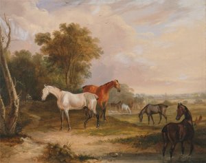 Paarden grazen: een grijze hengst graast met merries in een weiland door Francis Calcraft Turner