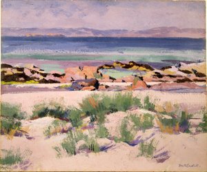 Aan de kust, Iona