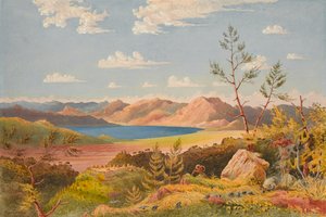 Lake Ashangi door Francis Cornelius James