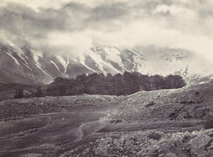 Verre Zicht op de Ceders van Libanon, ca. 1857 door Francis Frith