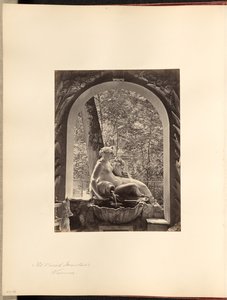 De Naiad-fontein, Wenen