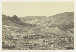Uitzicht op Hebron door Francis Frith