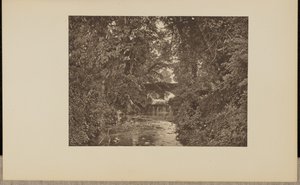 Op de rivier Taunton door Francis Frith and Co.