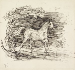 Een grijs paard dravend uit een bos