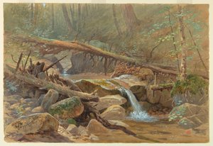 Vijver in het bos