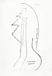 Poemes et Dessins de la Fille nee sans Mere, nr.23, uitgegeven door Imprimeries Reunies, Lausanne door Francis Picabia