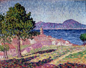 Uitzicht op Saint Tropez, de Citadel