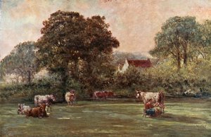 Boerderij in Hyde Lane