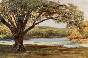 De vallei van Avoca door Francis S. Walker