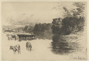 Koeien bij een rivier