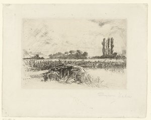 Uiterwaard