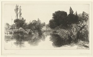 Vijver
