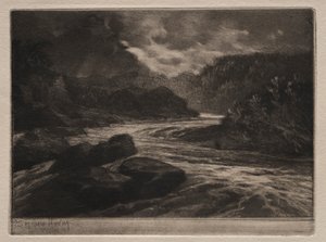 Een zalmrivier