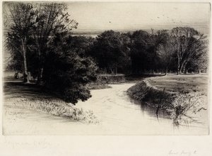Een Zonsondergang in Ierland, 1863 door Francis Seymour Haden