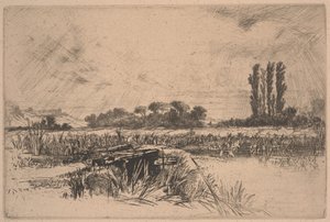 Een Waterweide door Francis Seymour Haden