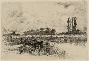 Een Waterweide door Francis Seymour Haden