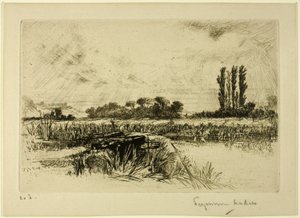 Een Waterweide door Francis Seymour Haden