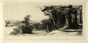 Vroege Ochtend, Richmond Park door Francis Seymour Haden