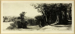 Vroege Ochtend, Richmond Park door Francis Seymour Haden