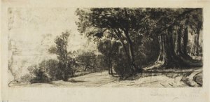 Vroege Ochtend, Richmond Park