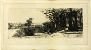 Vroege ochtend, Richmond Park