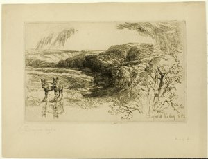 Encombe Woods, Nr. II door Francis Seymour Haden
