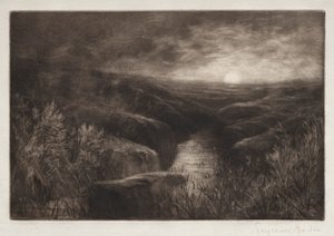 Schuilplaats van de mug door Francis Seymour Haden