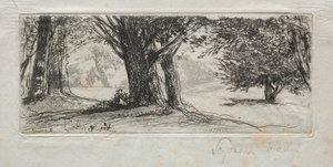Hulstveld