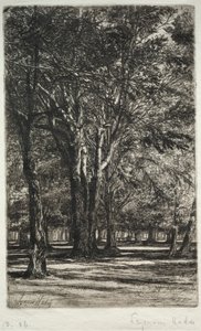 Kensington Gardens De grotere plaat