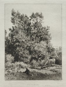 Landschap