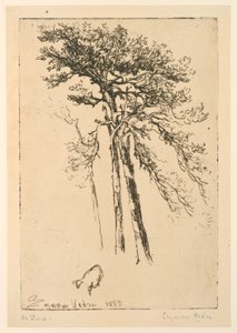 Schotse dennen door Francis Seymour Haden