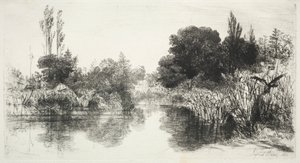 Share Mill Vijver