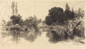 Shere Mill Pond (De Grotere Plaat)