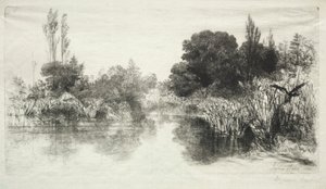 Shere Mill Vijver (De Grotere Plaat)