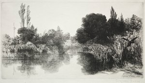Shere Mill Pond, No. 11 (De Grote Plaat)