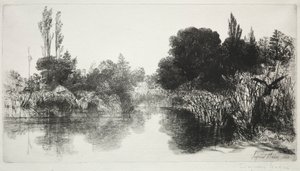 Shere Mill Pond, No. 11 De Grote Plaat, 1860 en later door Francis Seymour Haden