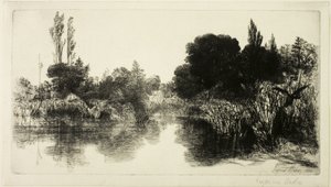 Shere Mill Pond, No. II (grote plaat) door Francis Seymour Haden